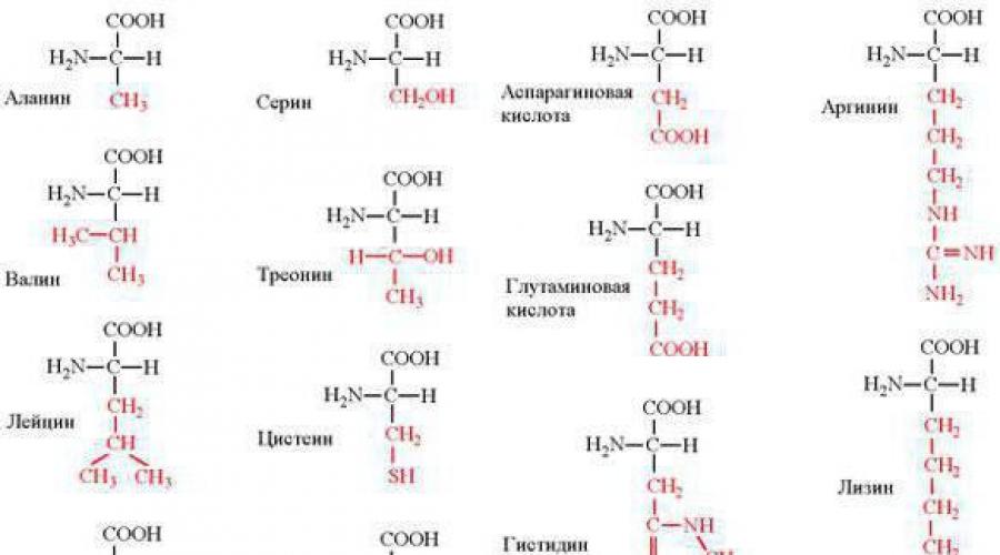 Аминокислоты белков таблица. Аминокислоты структурные формулы. Формулы аминокислот биохимия. Аминокислоты 20 аминокислот.