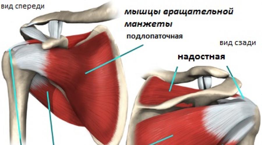 Нестабильность плечевого сустава лечение. Повреждение Банкарта
