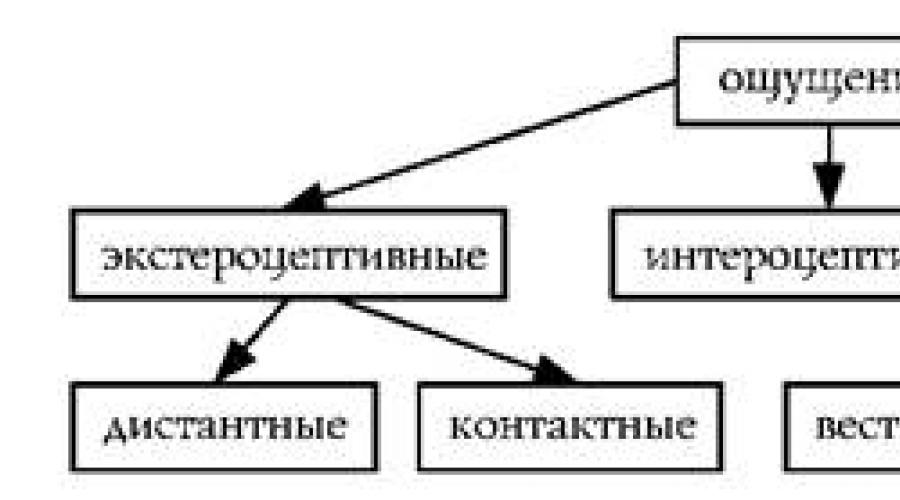 Дистантные ощущения. Классификация ощущений и рецепторов. Схема классификация ощущений в психологии. Классификация экстероцептивных ощущений в психологии. Классификация ощущений Шеррингтона.