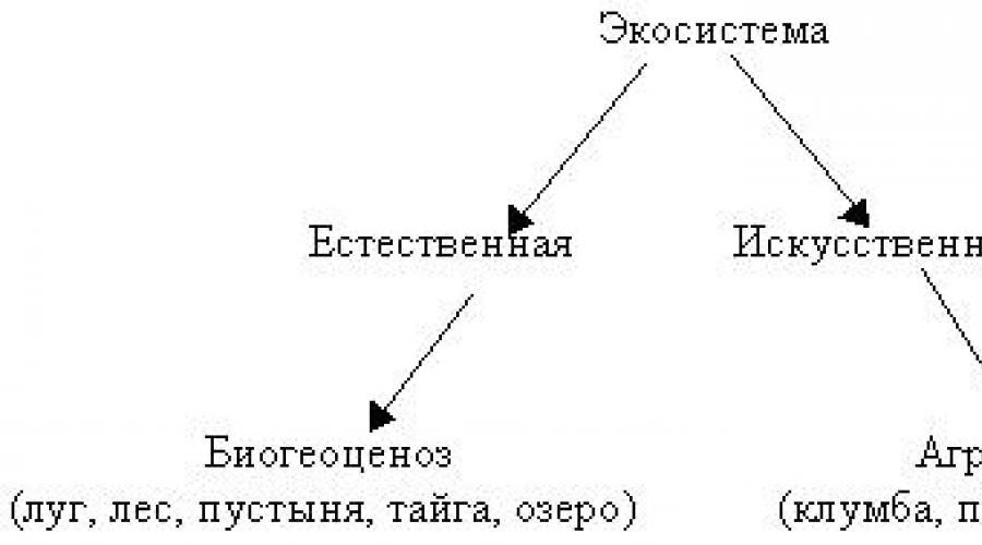 Искусственная экосистема схема